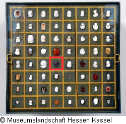 B XVI. Tab. B-VII-36 Bild
