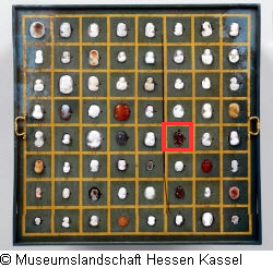 B XVI. Tab. B-VII-38 Bild