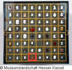 B XVI. Tab. B-VII-60 Bild