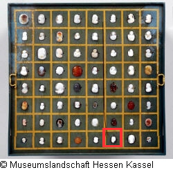 B XVI. Tab. B-VII-62 Bild